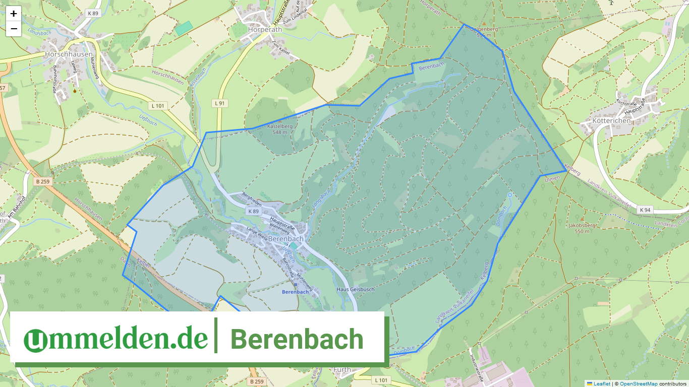 072335004203 Berenbach