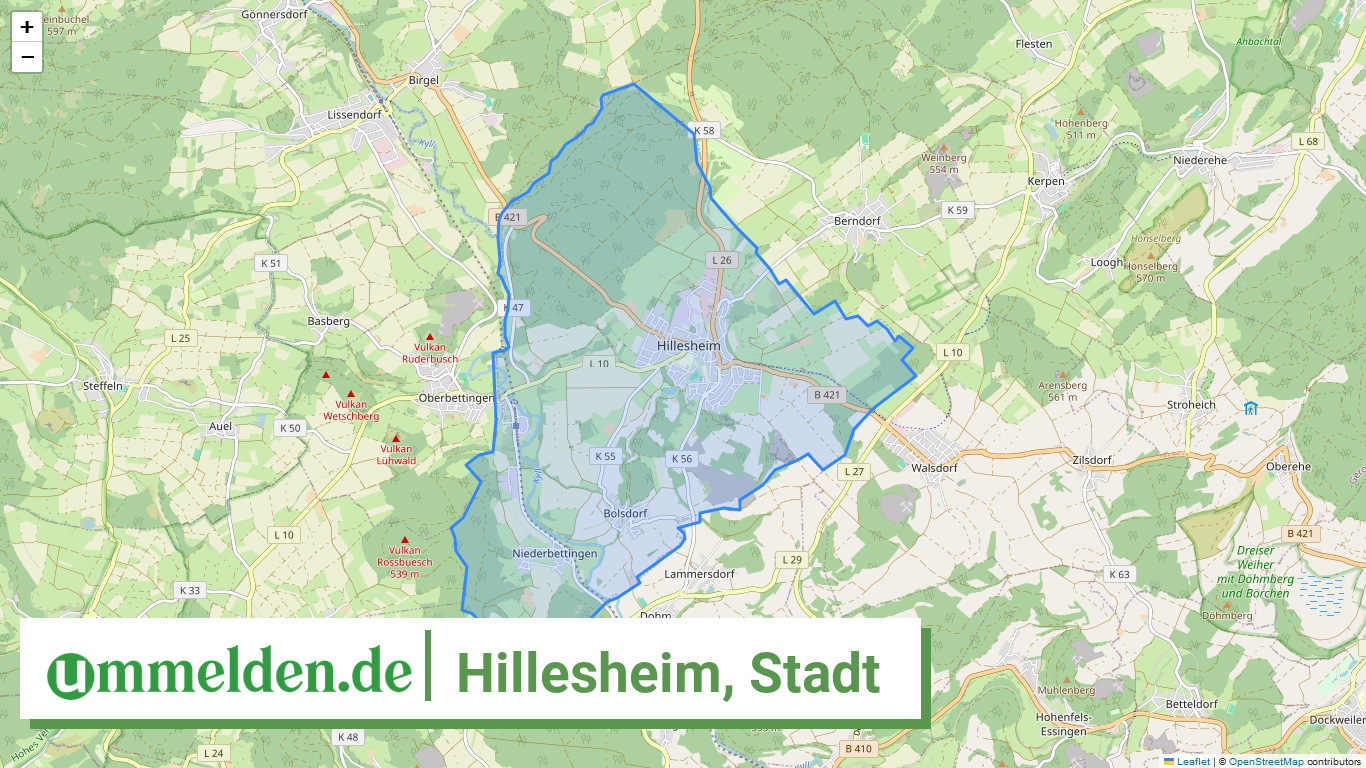 072335006029 Hillesheim Stadt