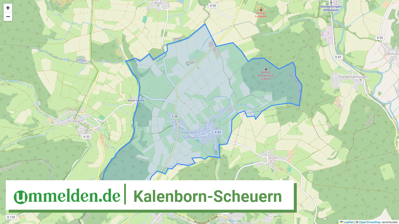 072335006036 Kalenborn Scheuern