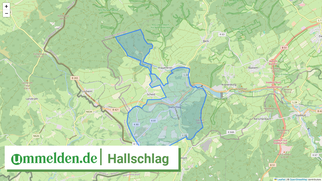 072335006214 Hallschlag