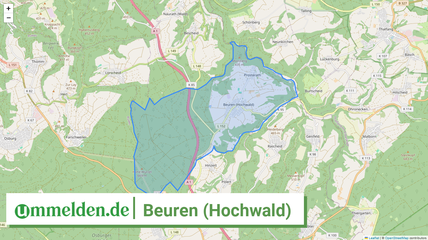 072355001008 Beuren Hochwald