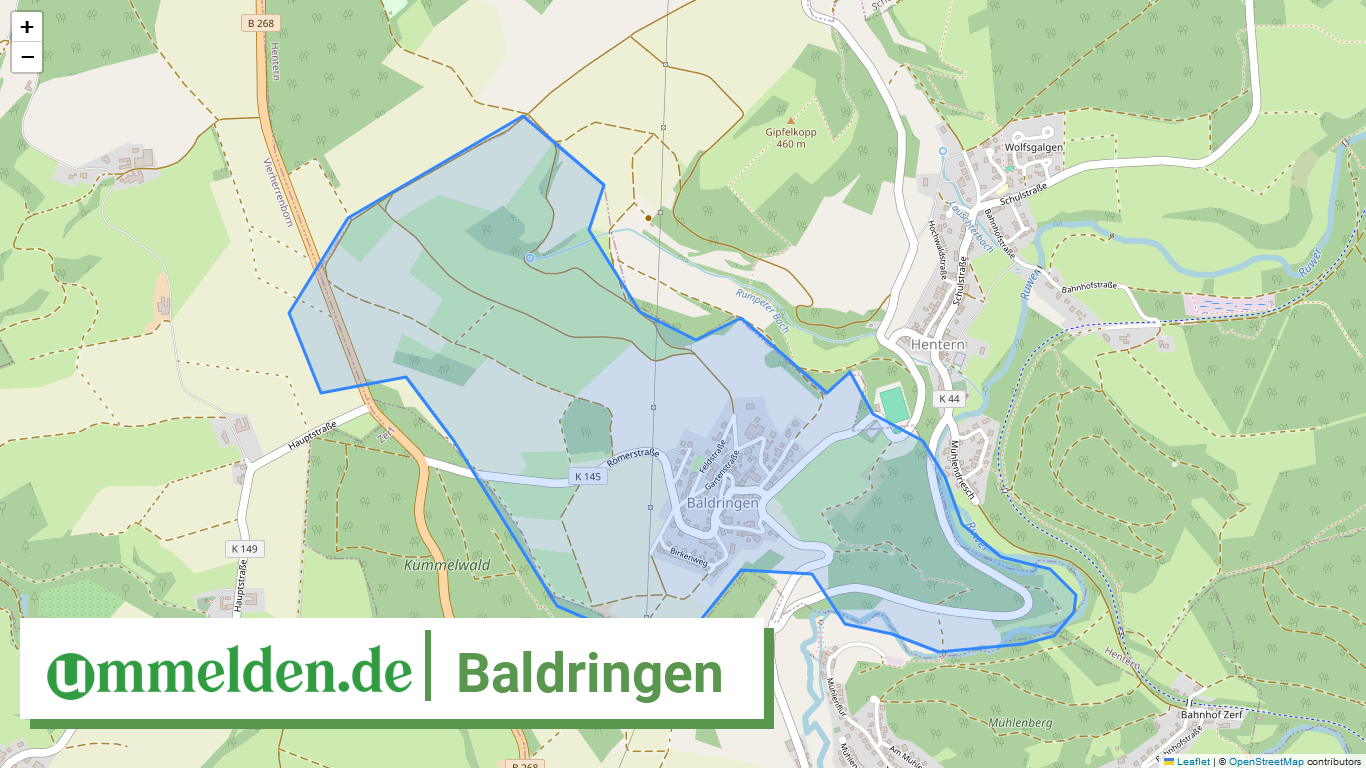 072355008003 Baldringen