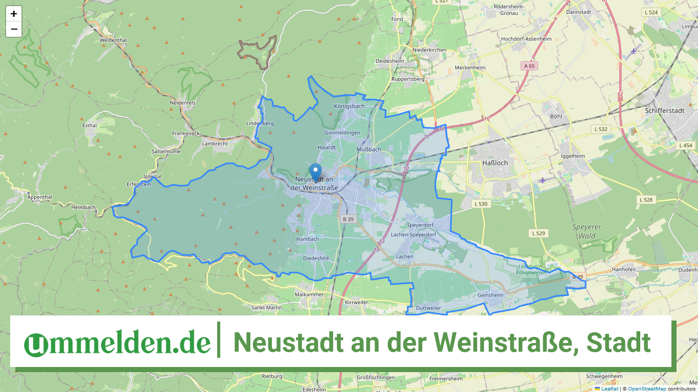 073160000000 Neustadt an der Weinstrasse Stadt