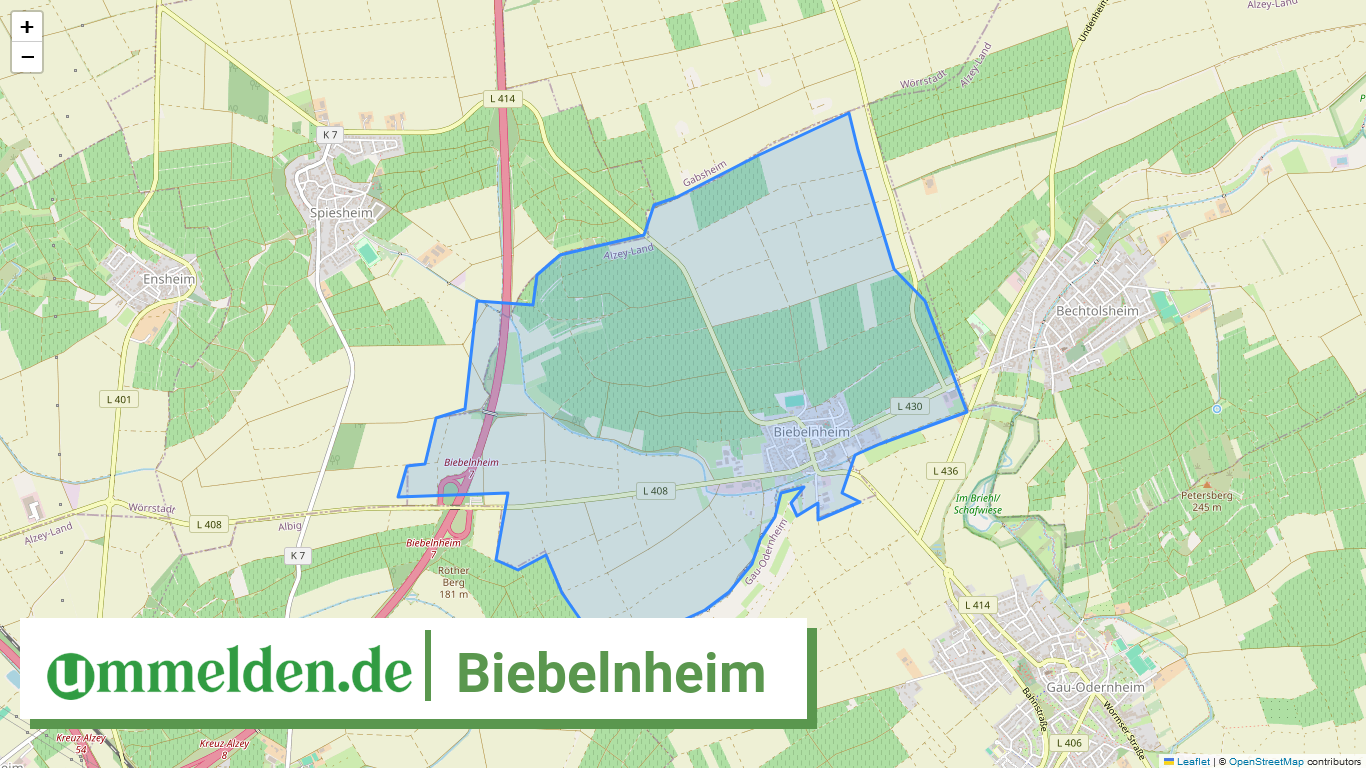 073315001010 Biebelnheim