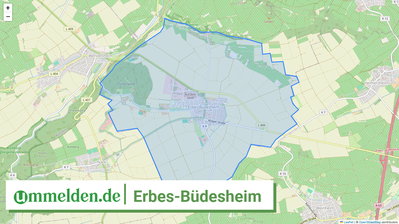 073315001021 Erbes Buedesheim