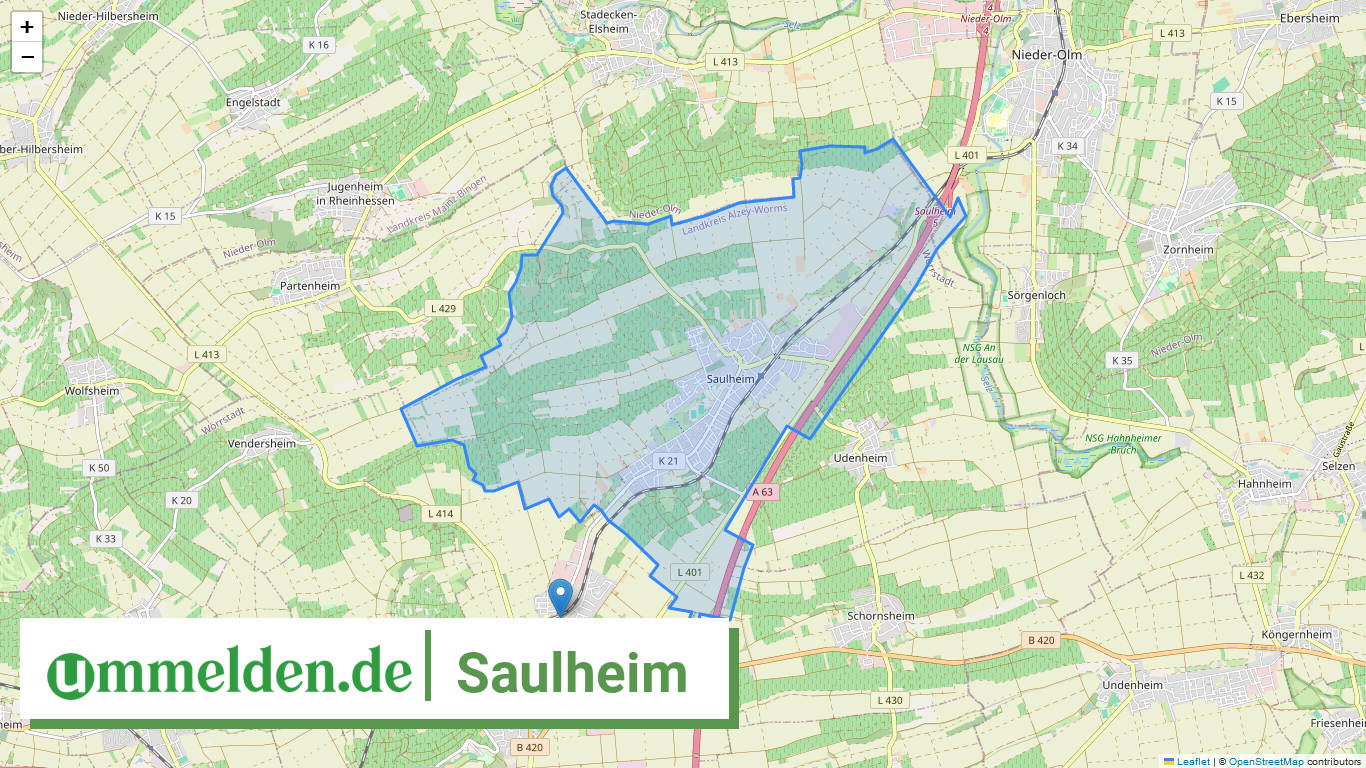 073315006058 Saulheim