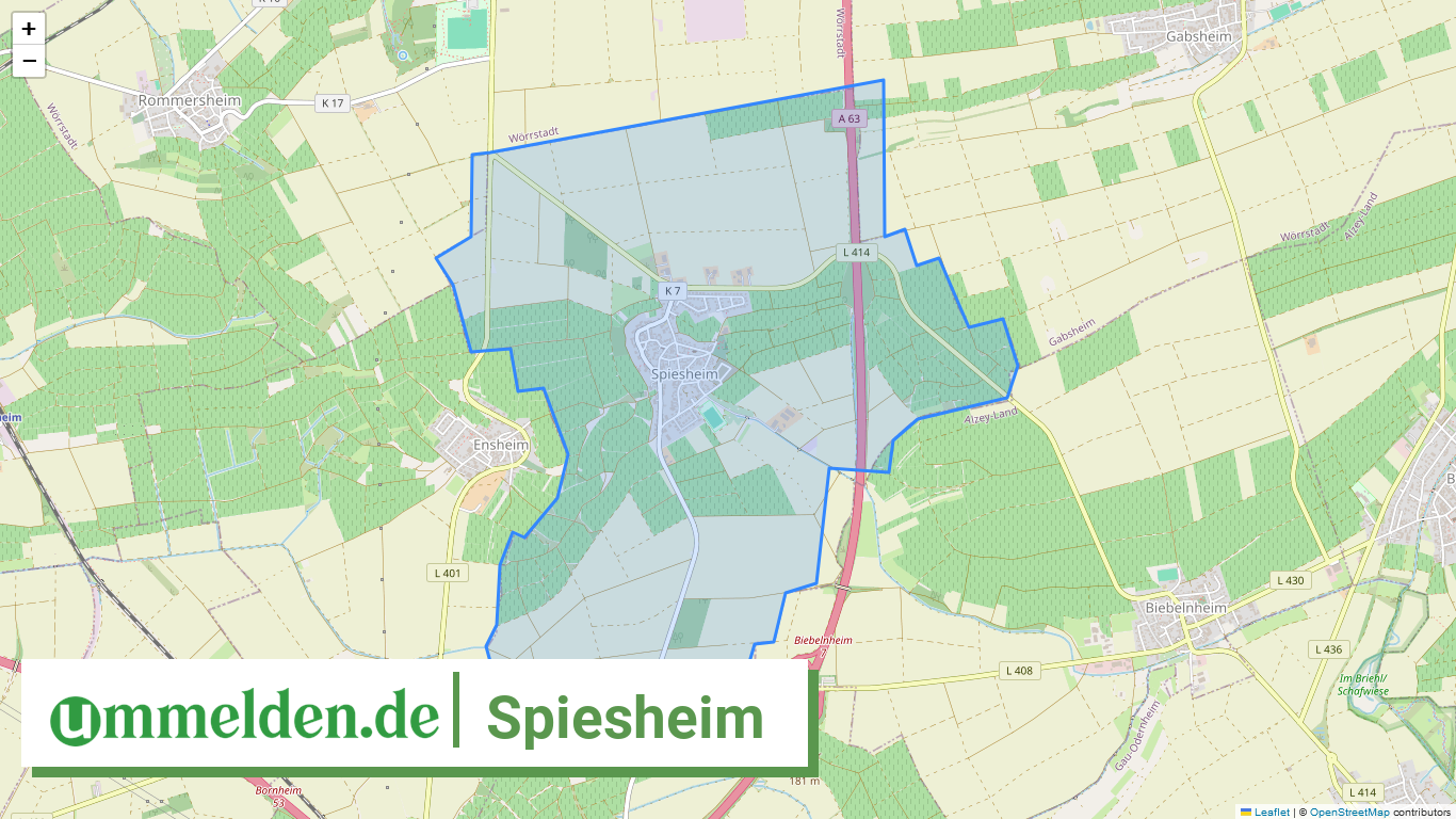 073315006061 Spiesheim