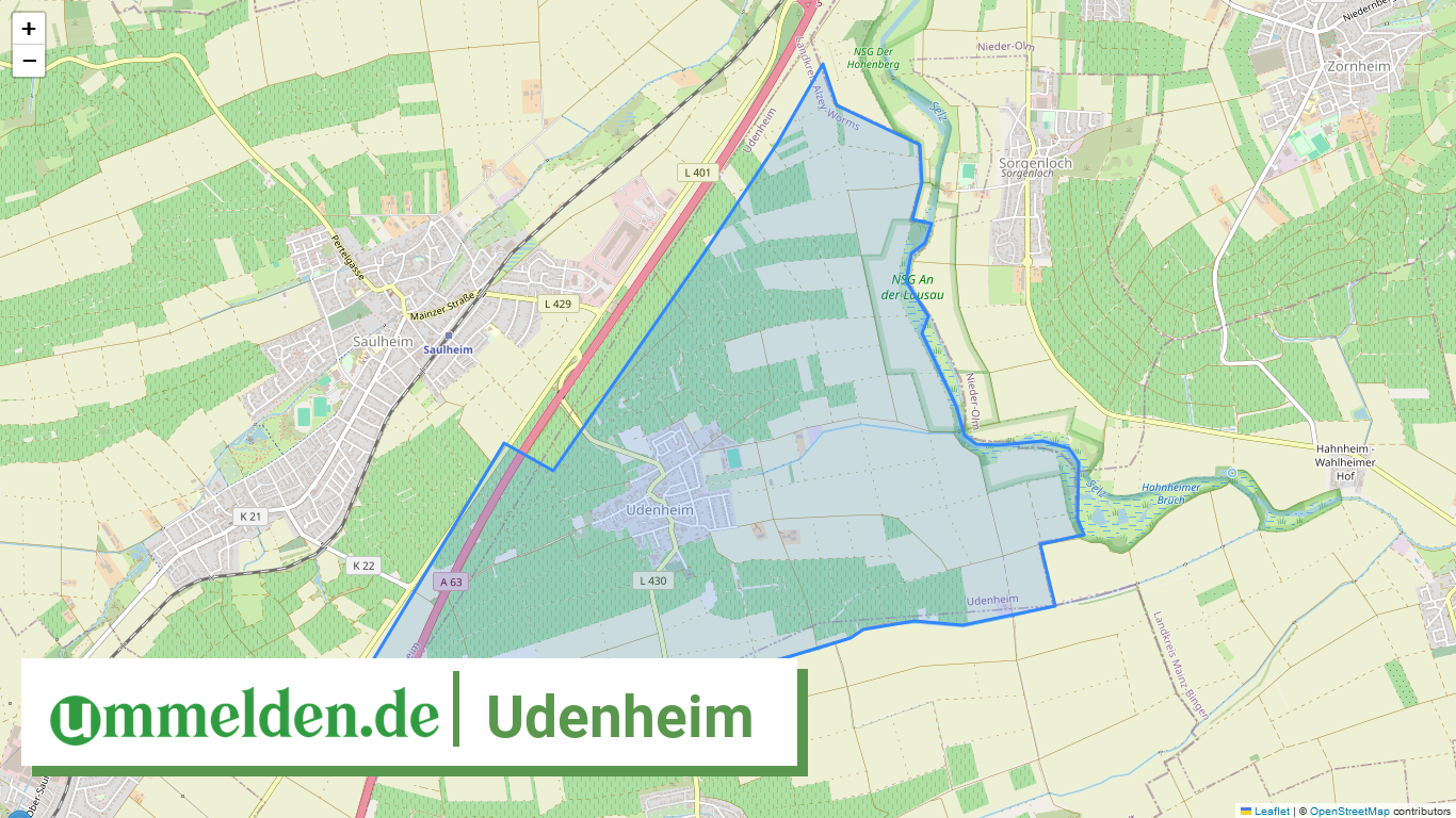 073315006064 Udenheim