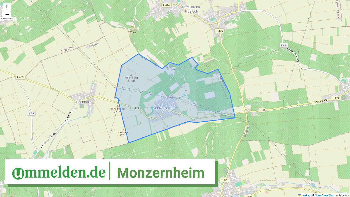 073315007049 Monzernheim