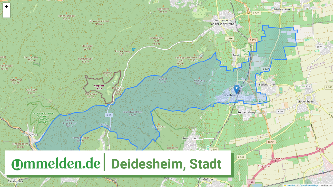 073325001009 Deidesheim Stadt