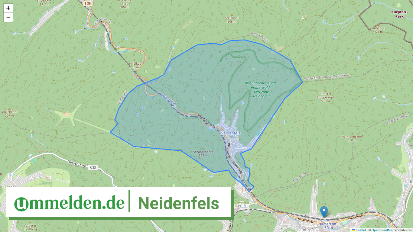 073325005037 Neidenfels