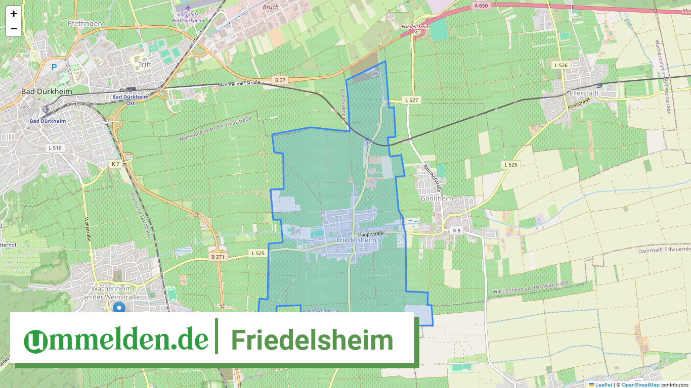 073325006020 Friedelsheim