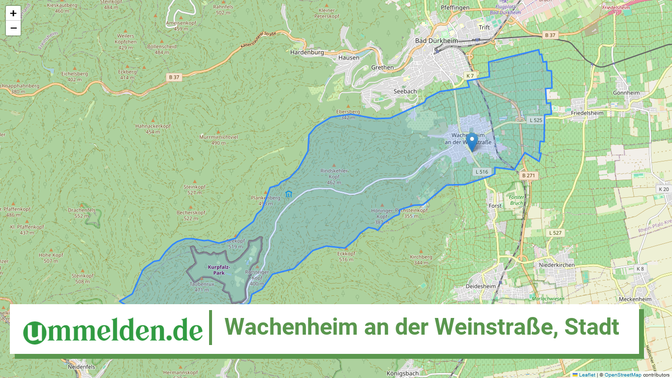 073325006046 Wachenheim an der Weinstrasse Stadt