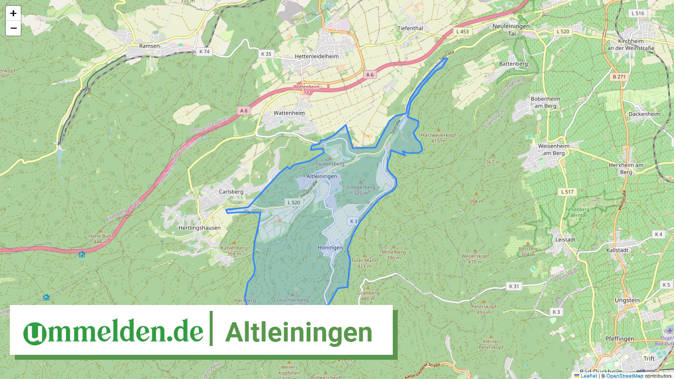 073325007001 Altleiningen