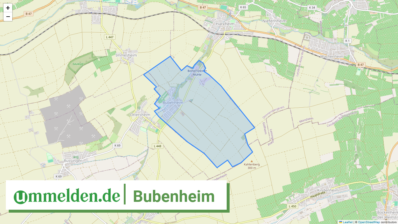 073335003012 Bubenheim