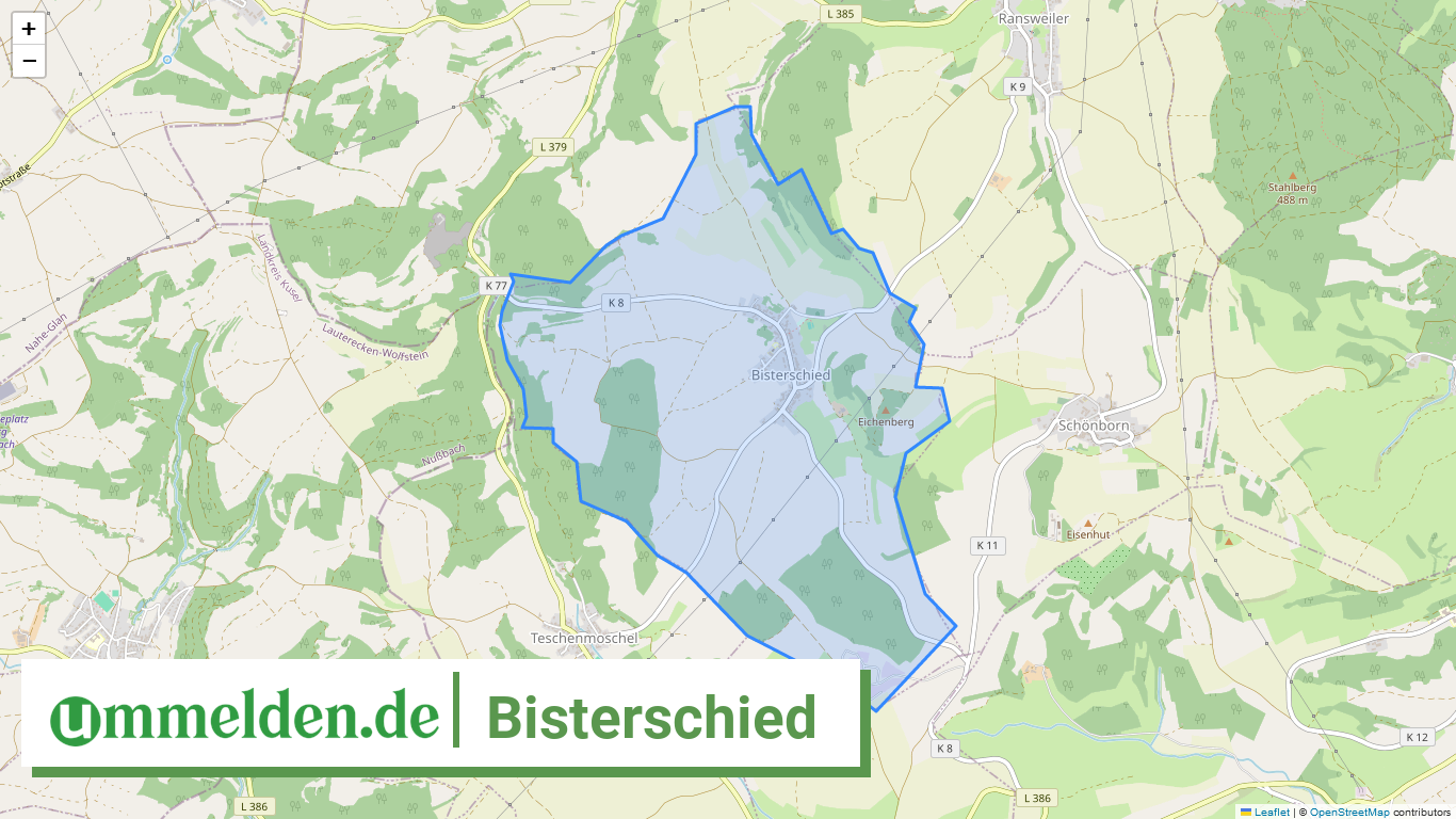 073335007008 Bisterschied