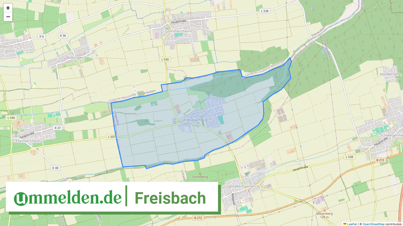 073345005006 Freisbach