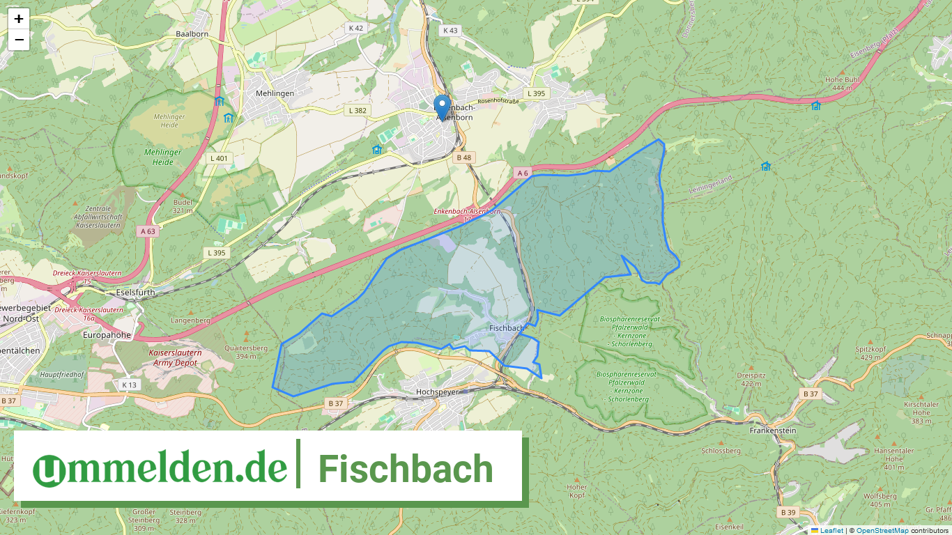 073355002007 Fischbach