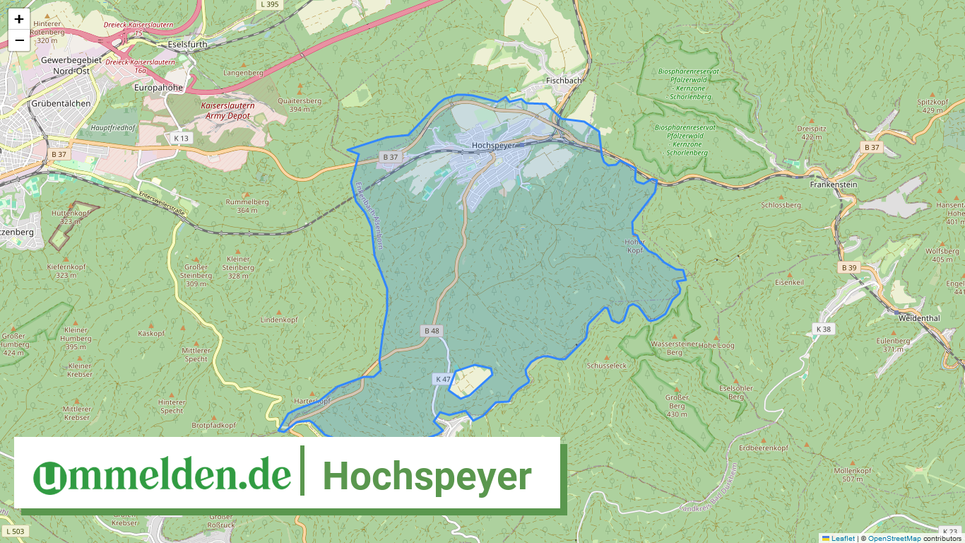 073355002015 Hochspeyer