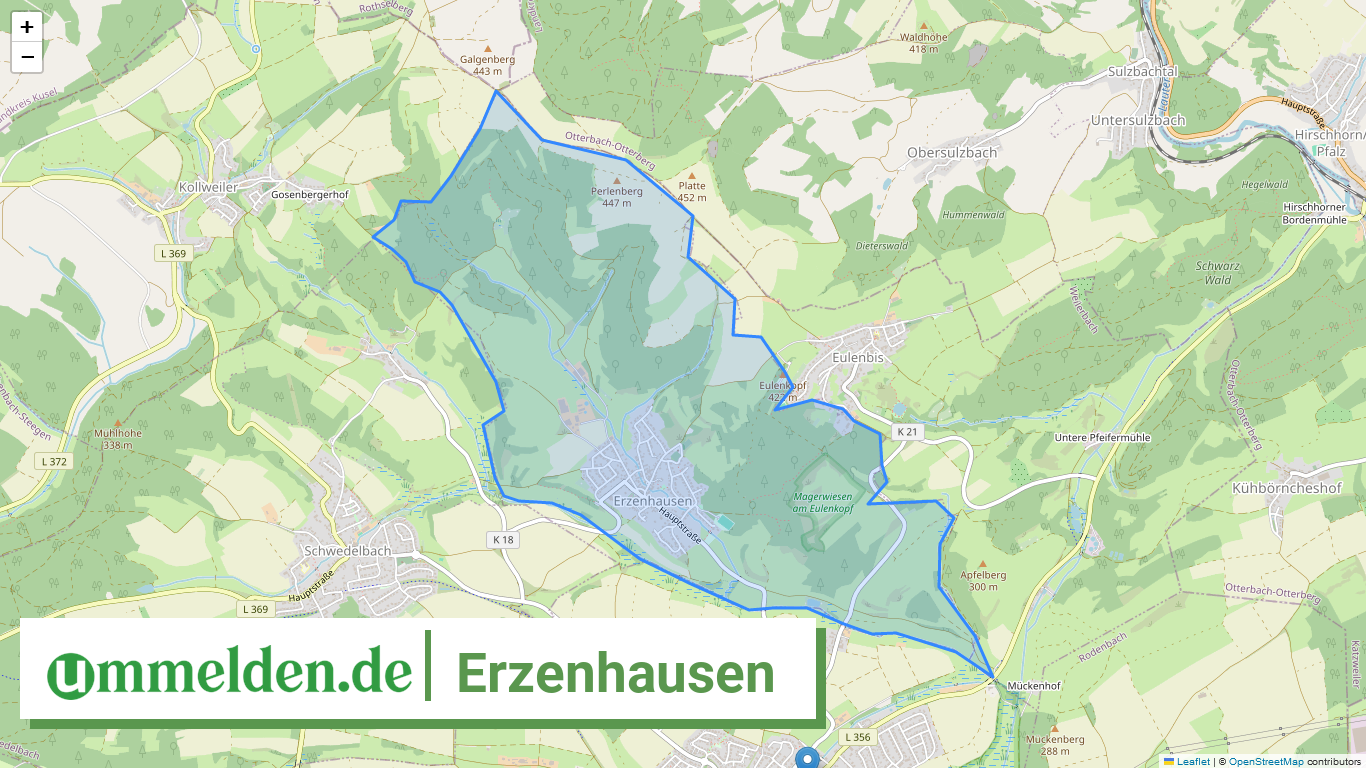 073355009005 Erzenhausen