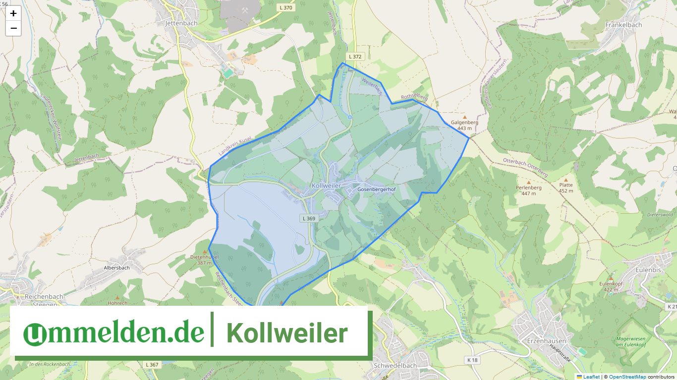 073355009019 Kollweiler