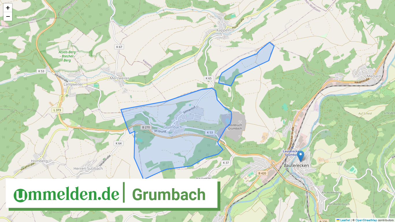 073365008033 Grumbach