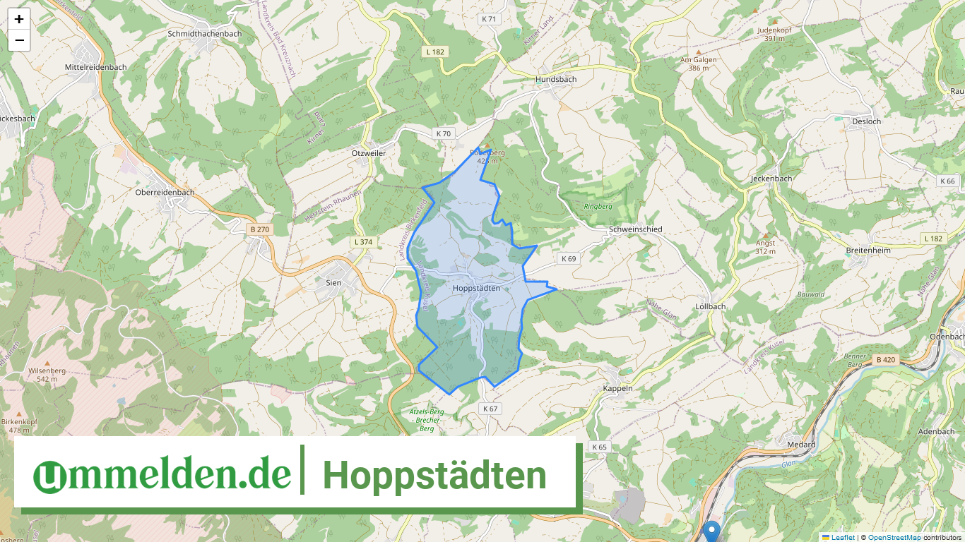 073365008045 Hoppstaedten