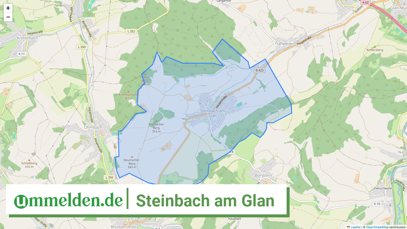 073365009096 Steinbach am Glan