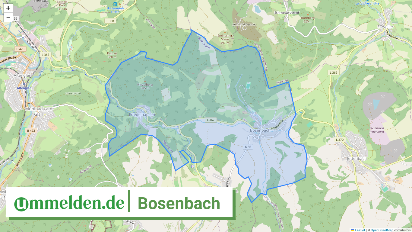 073365010009 Bosenbach