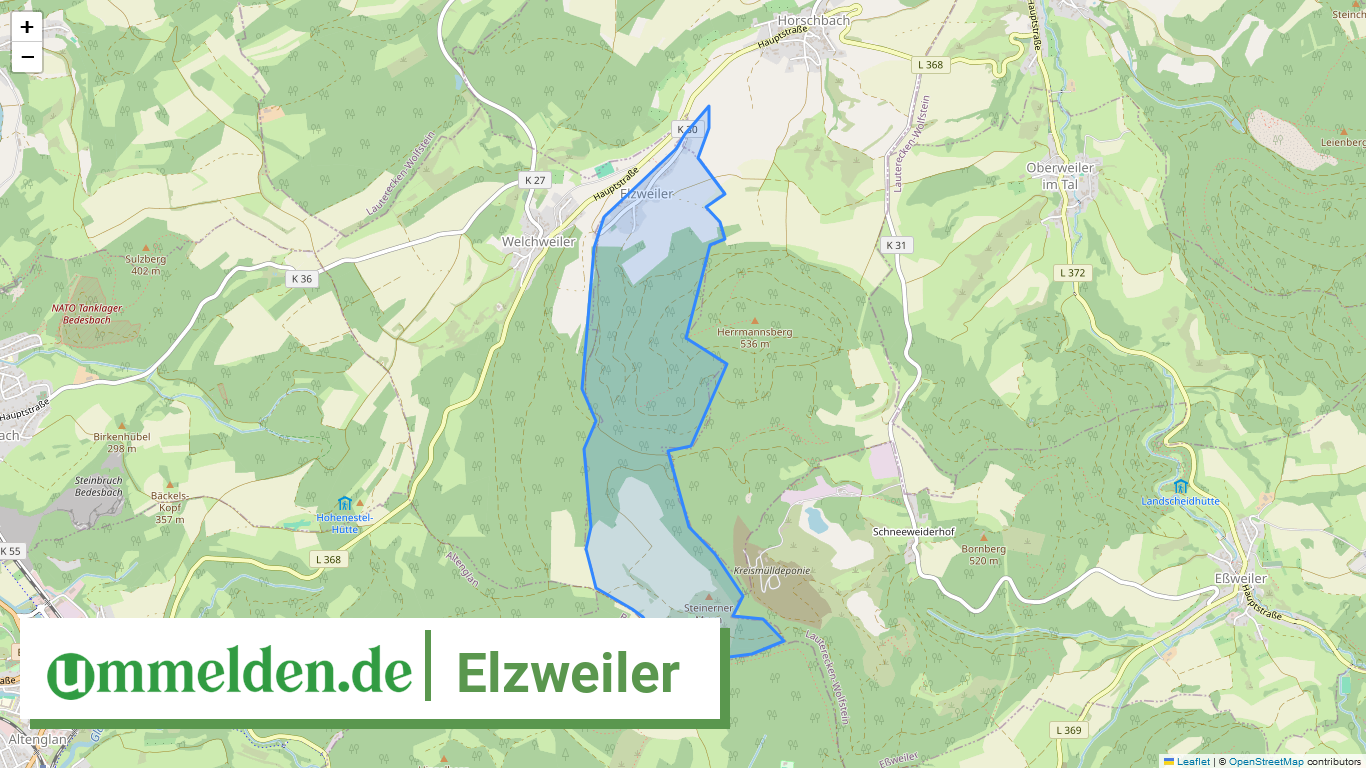 073365010021 Elzweiler