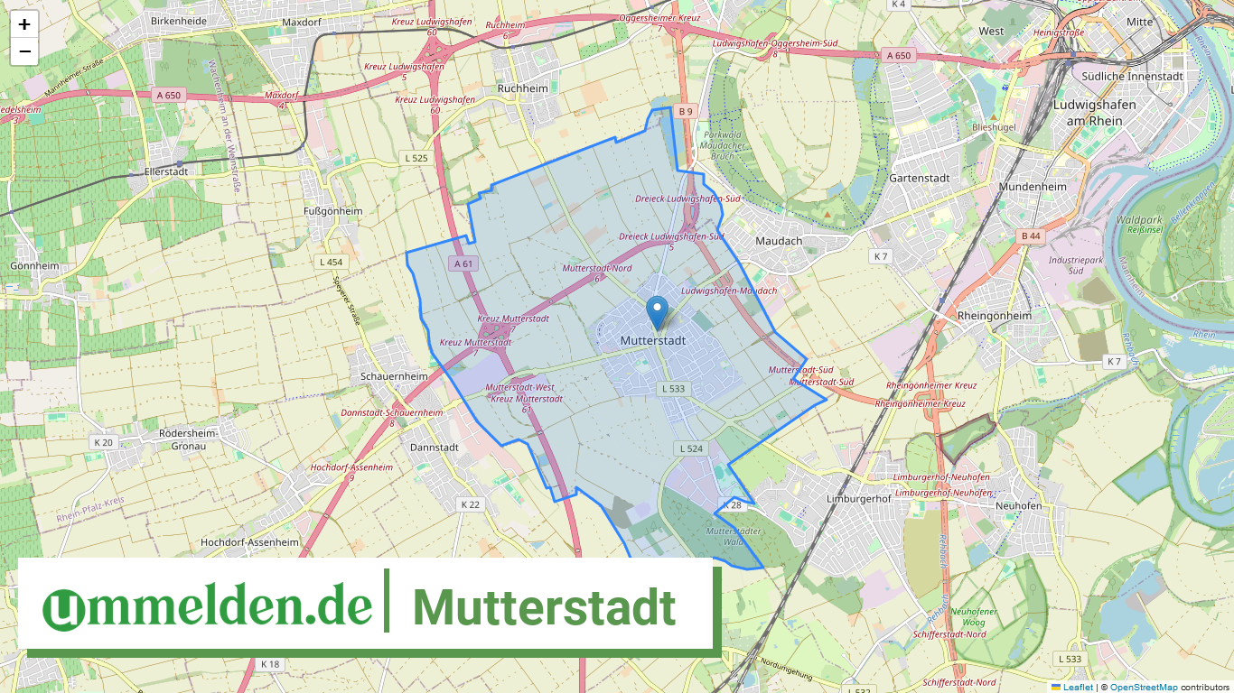 073380019019 Mutterstadt