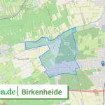 073385004003 Birkenheide