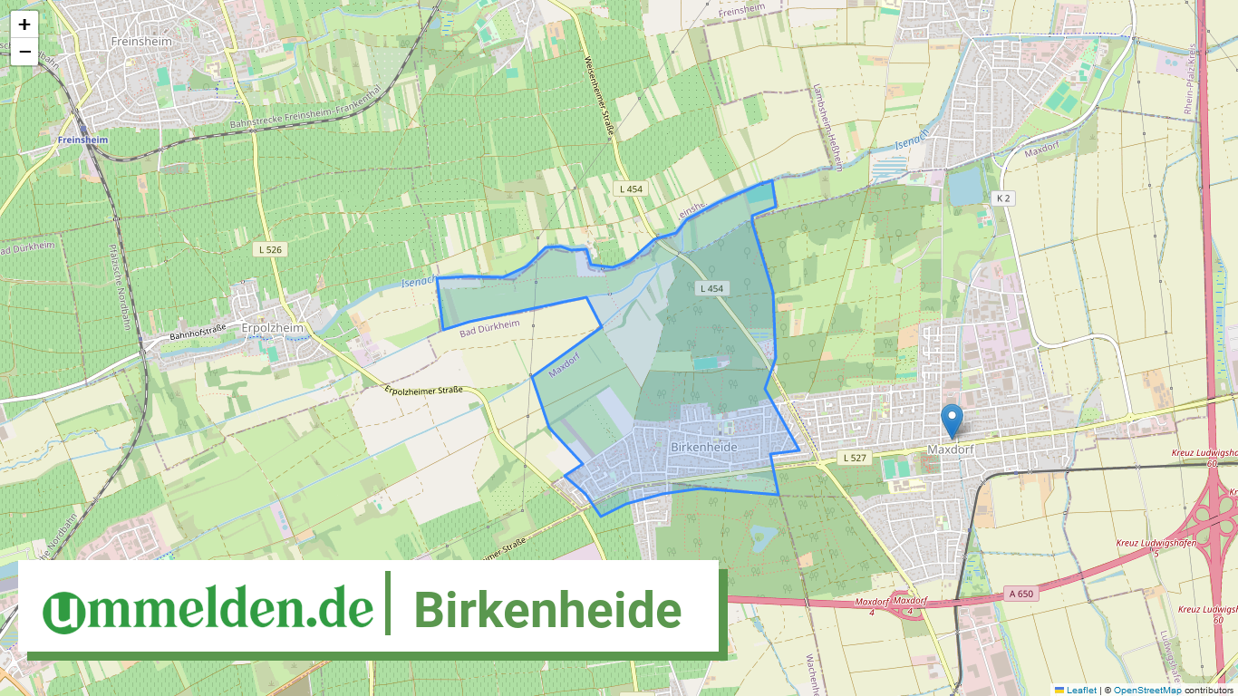 073385004003 Birkenheide