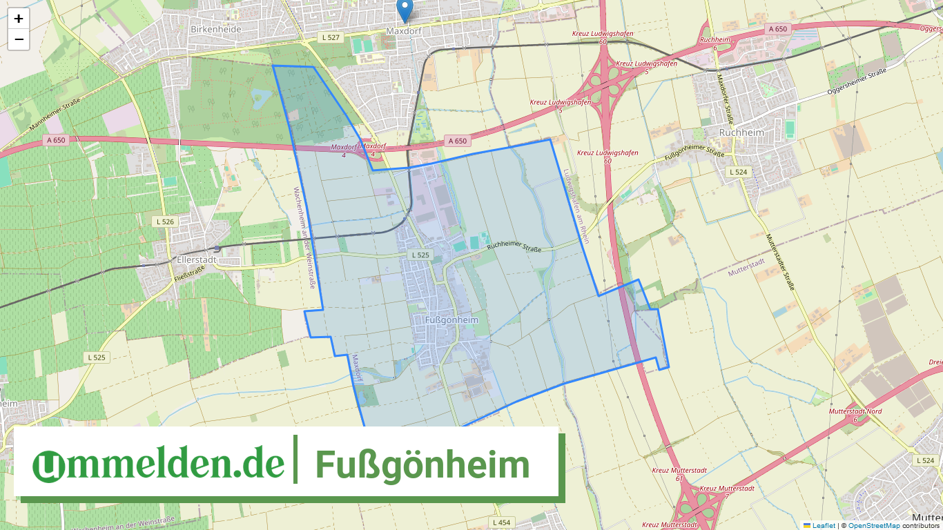 073385004008 Fussgoenheim