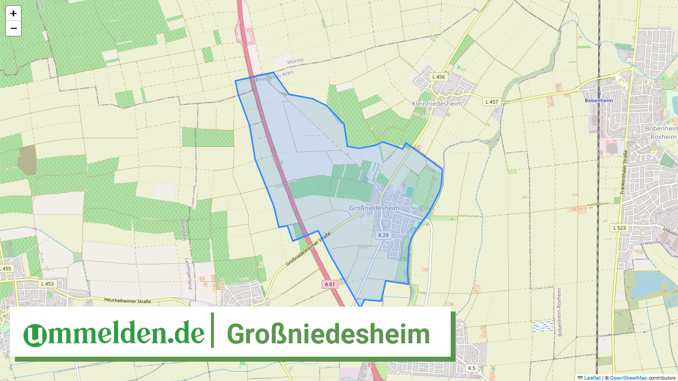 073385006009 Grossniedesheim