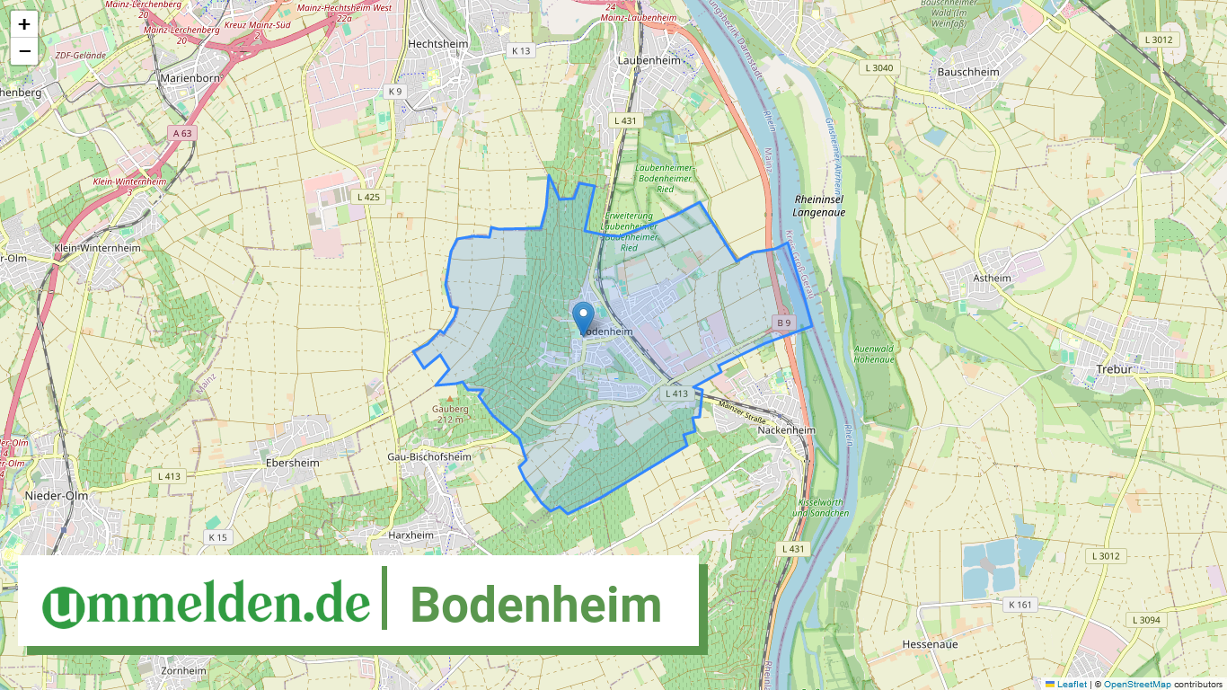 073395002006 Bodenheim