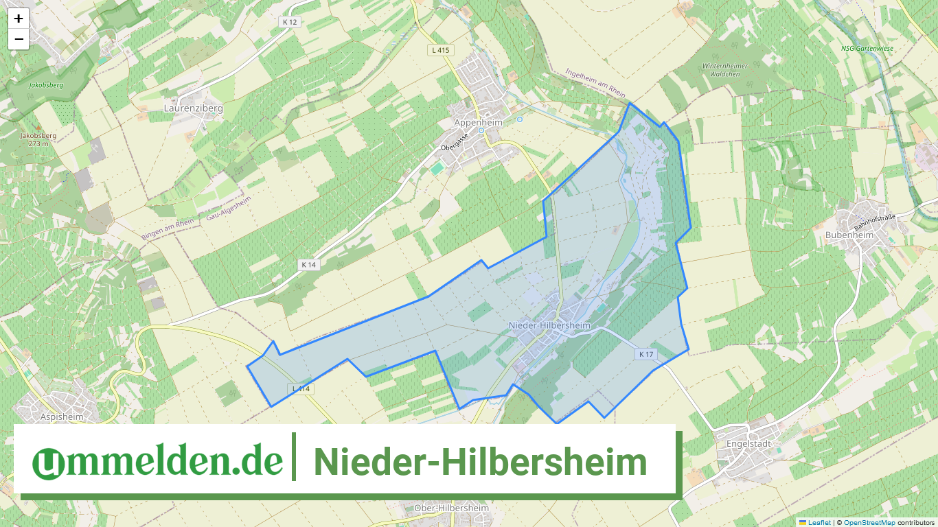 073395003041 Nieder Hilbersheim