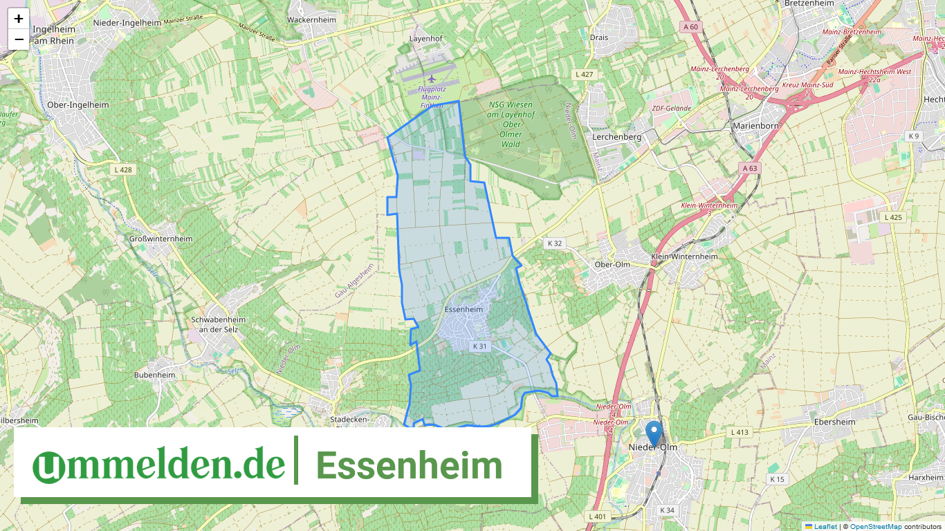 073395006017 Essenheim