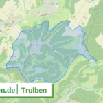 073405003052 Trulben