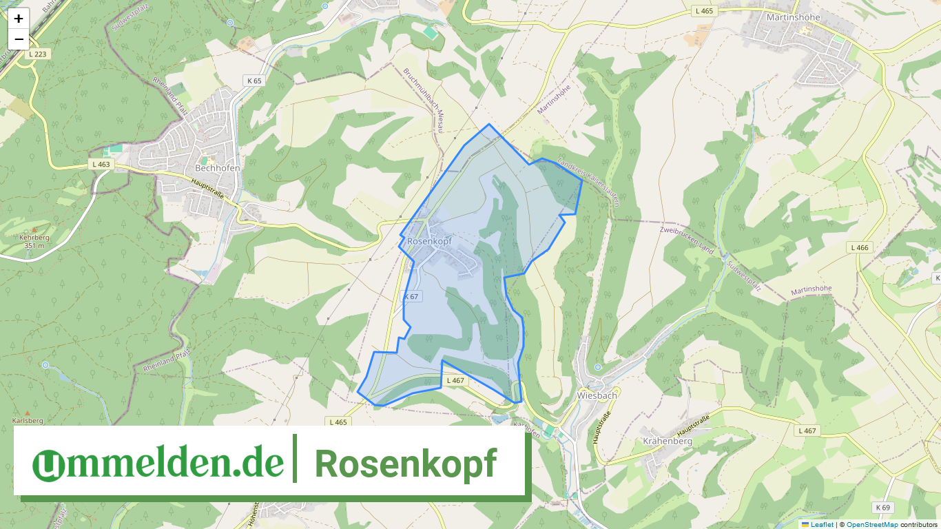 073405008223 Rosenkopf