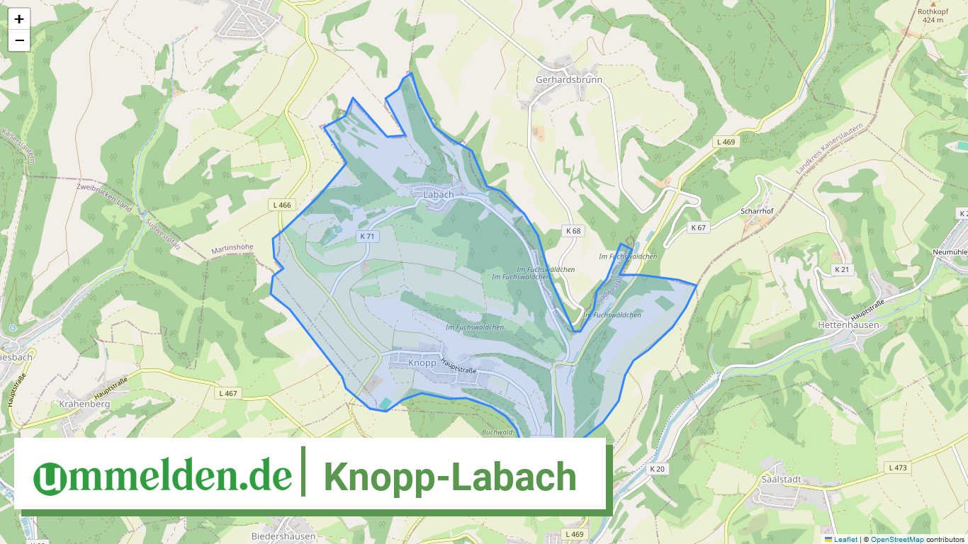 073405009215 Knopp Labach