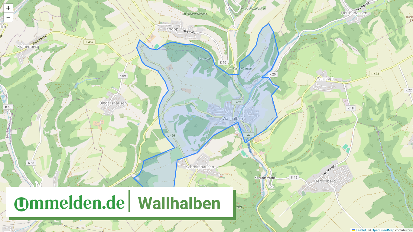 073405009225 Wallhalben