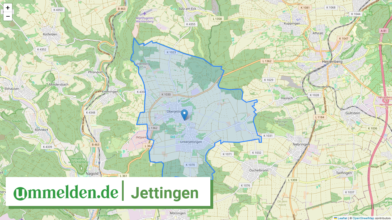 081155005053 Jettingen