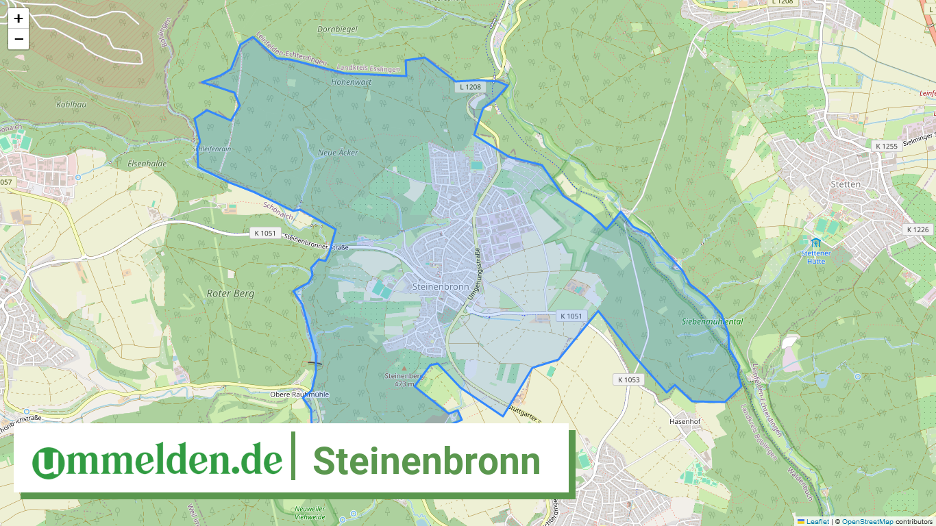 081155006046 Steinenbronn