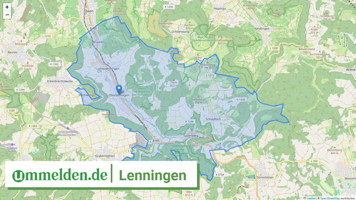 081165002079 Lenningen