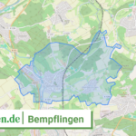 081165003008 Bempflingen