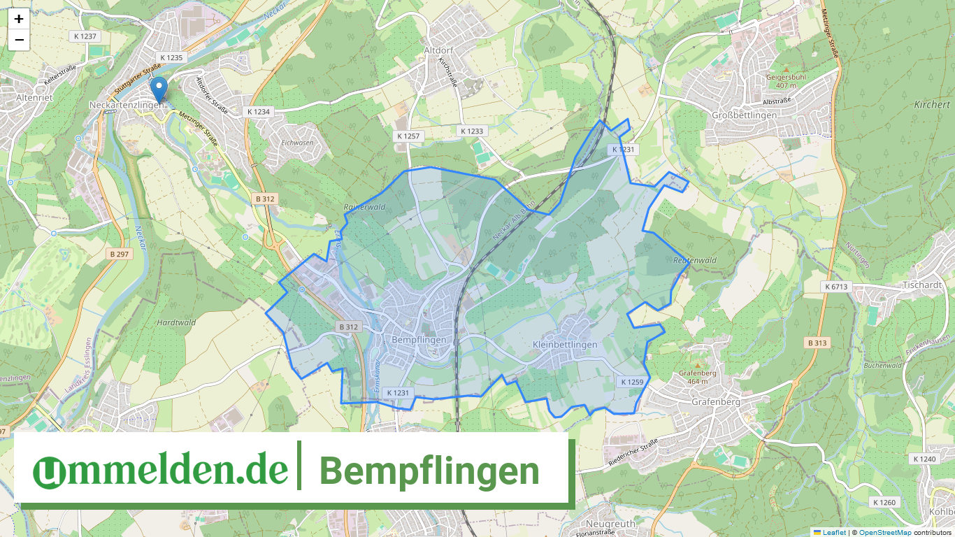 081165003008 Bempflingen