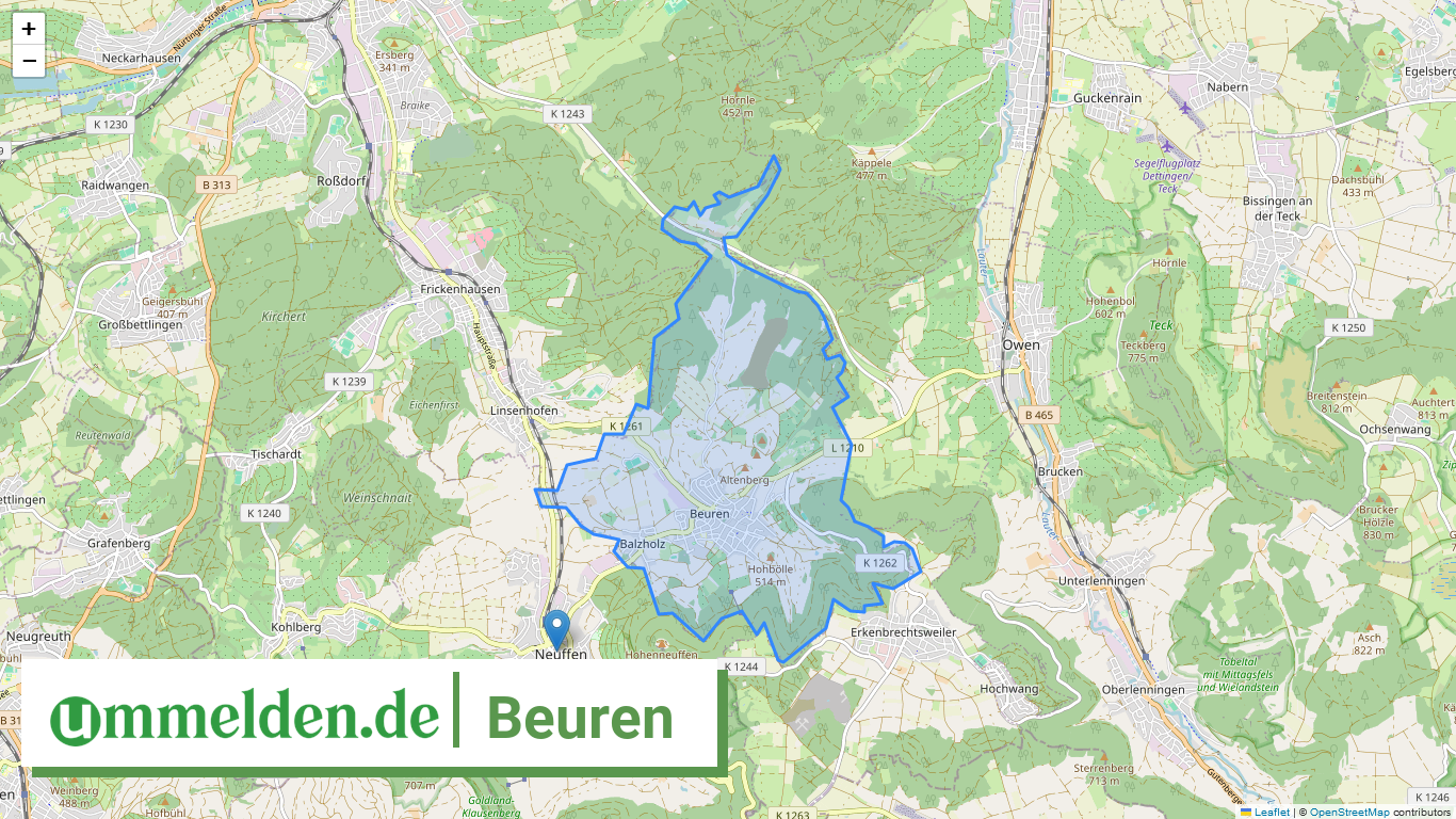 081165004011 Beuren