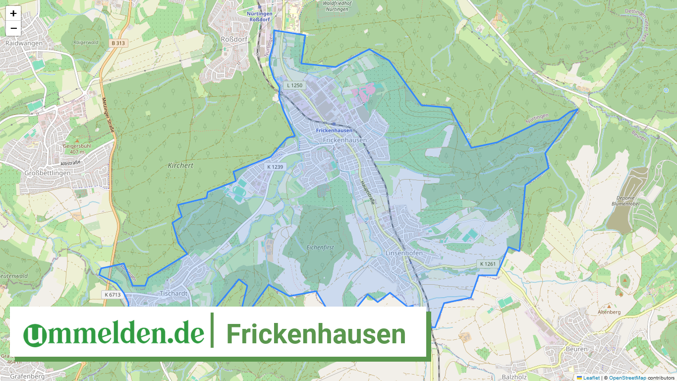 081165005020 Frickenhausen