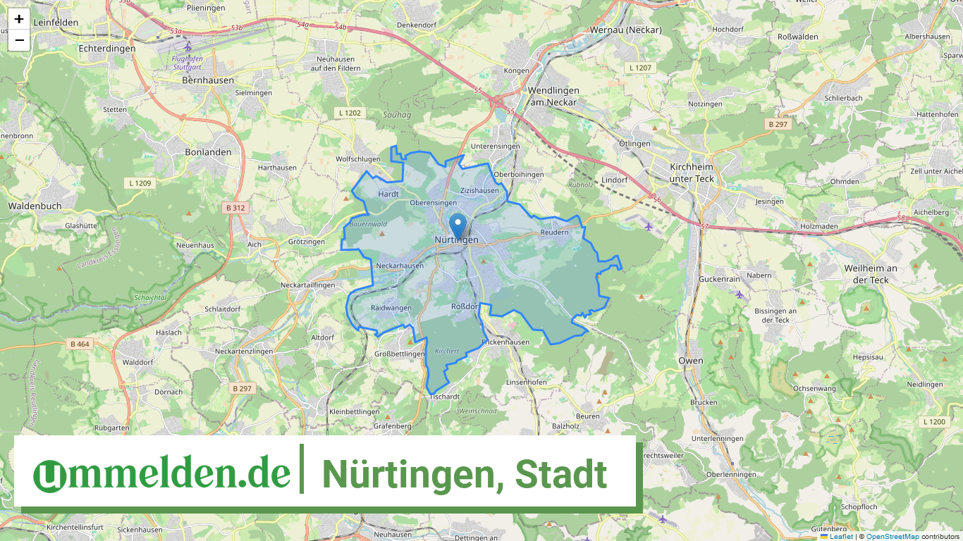 081165005049 Nuertingen Stadt